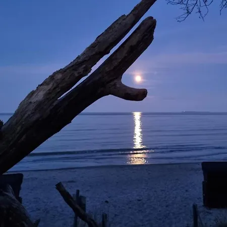 Traumhaftes Mit Terrasse - Odins Blick 9 - Exklusiver Privatstrand, Sauna, Garten 아파트