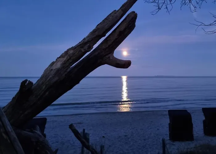 Traumhaftes Mit Terrasse - Odins Blick 9 - Exklusiver Privatstrand, Sauna, Garten Appartement